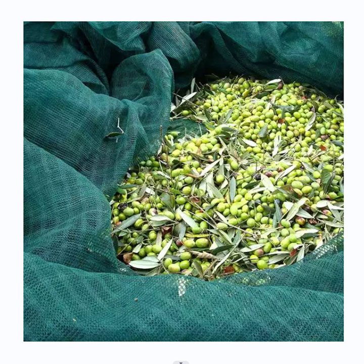 Harvest Olive Netting HDPE Stickat grönt olivnät